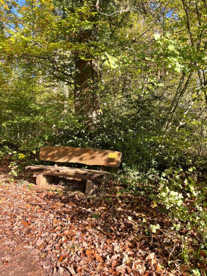 Klingenthal Charmant Studio En Pleine Nature מראה חיצוני תמונה
