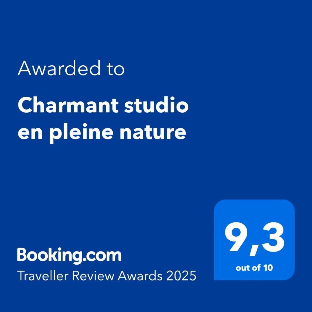 Klingenthal Charmant Studio En Pleine Nature מראה חיצוני תמונה
